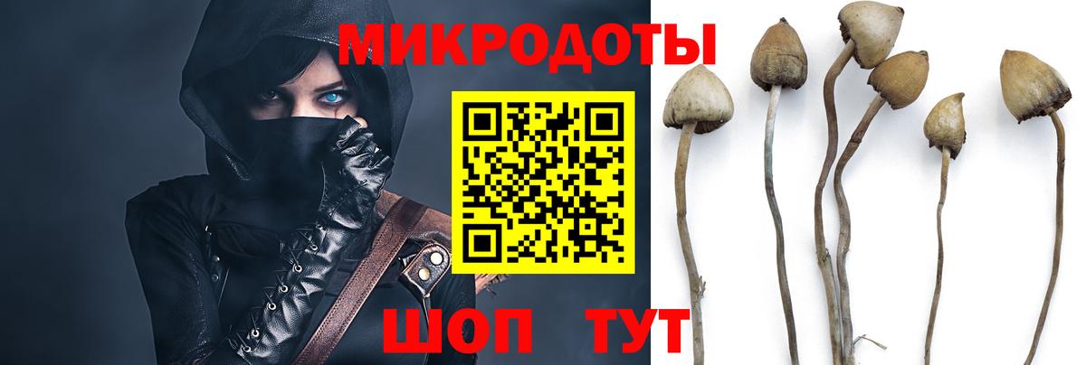 Галлюциногенные грибы MAGIC MUSHROOMS Кулебаки